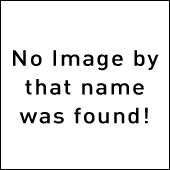 best online casino instant payout